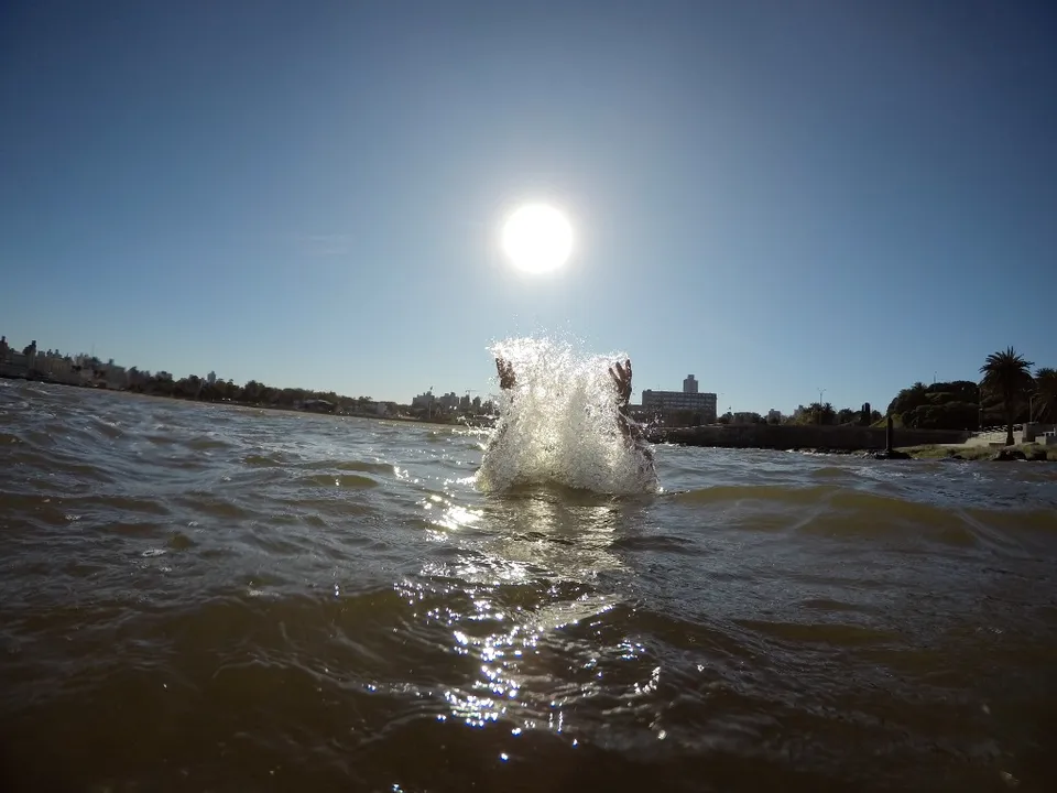 AGUA SALVAJE - Imagen 1