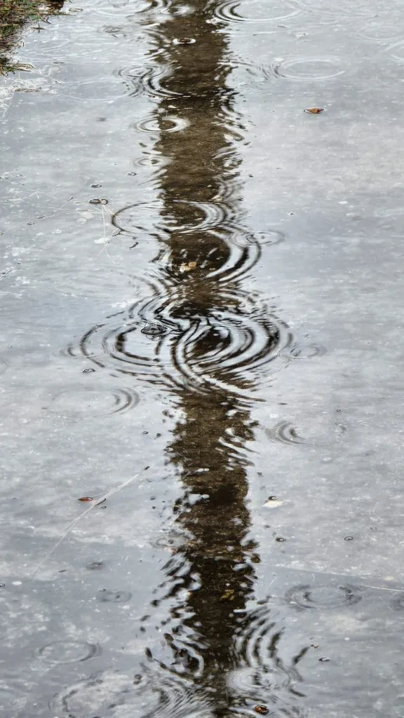 Ensombrando formas - Imagen 8