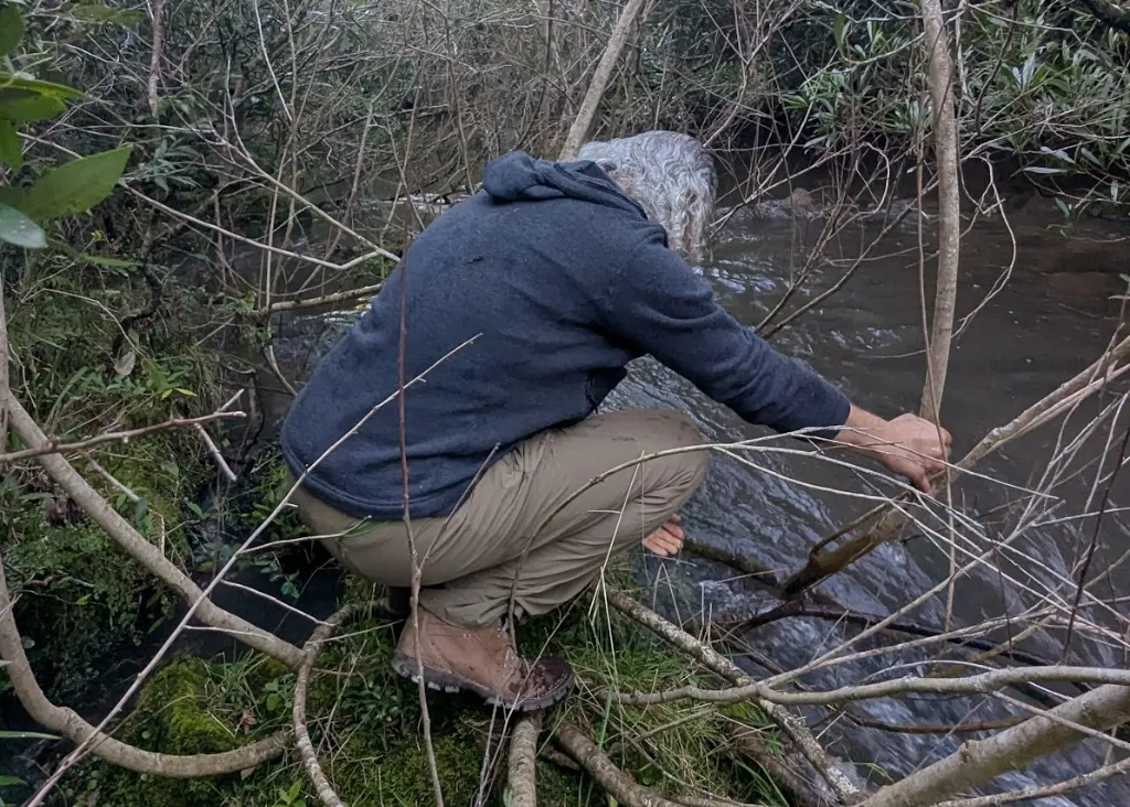 Naturalizando - Imagen 4