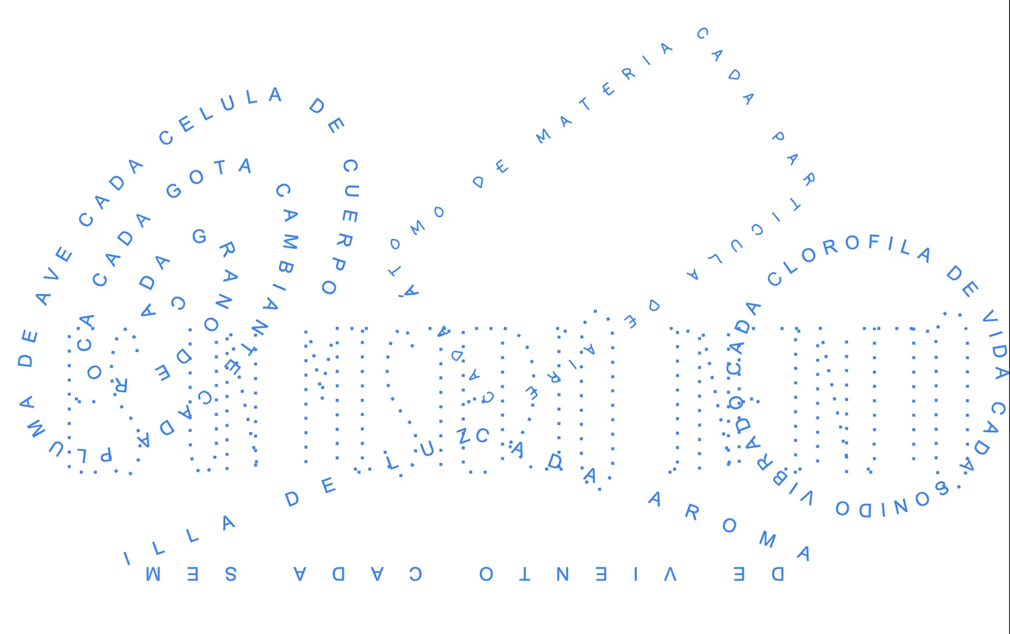 UN CIERTO DESCONCIERTO - Imagen pantalla completa 4
